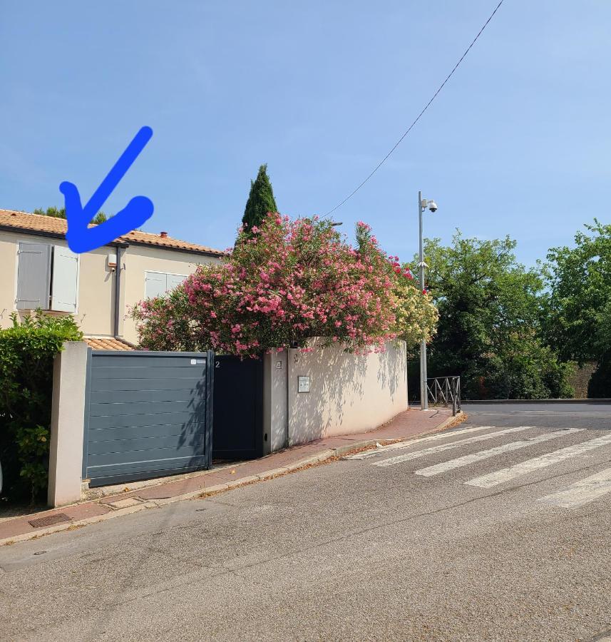 Appartement Chez Nous Dans Notre Petit Jardin à Montpellier Extérieur photo