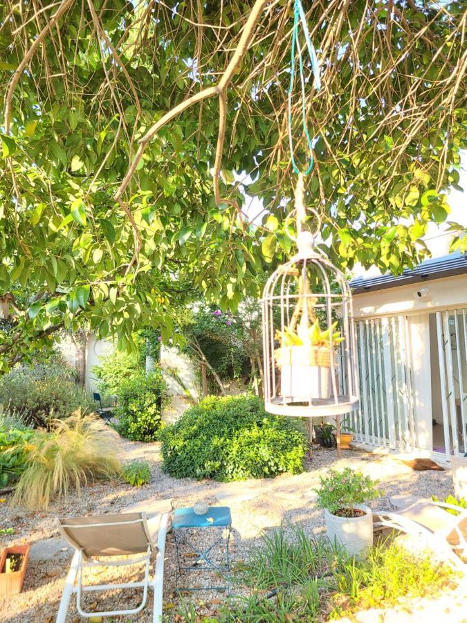 Appartement Chez Nous Dans Notre Petit Jardin à Montpellier Extérieur photo